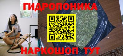 стаф Кулебаки