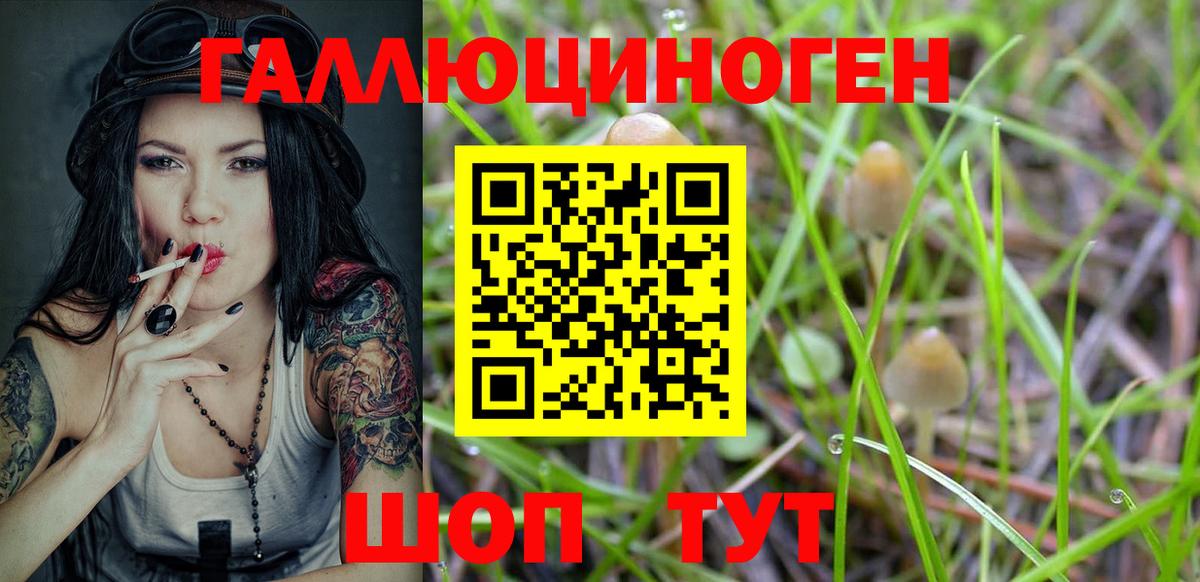 Галлюциногенные грибы мухоморы  Вход с VPN  Йошкар-Ола 