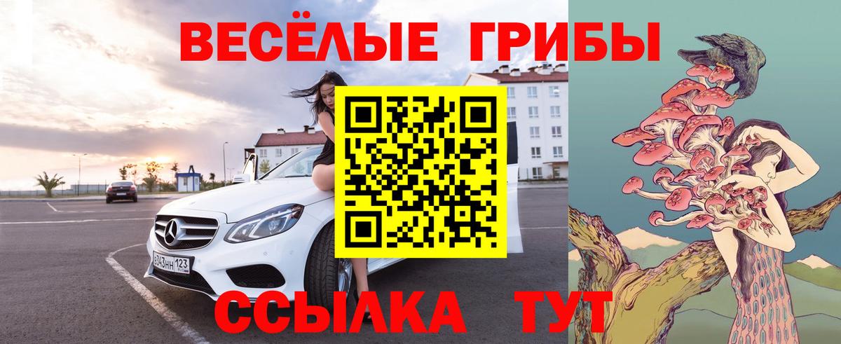 Псилоцибиновые грибы прущие грибы Йошкар-Ола
